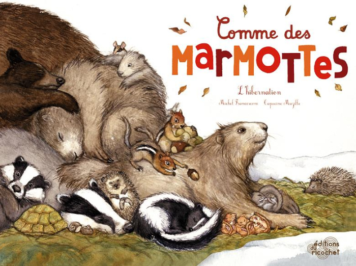 Comme des marmottes. L'hibernation