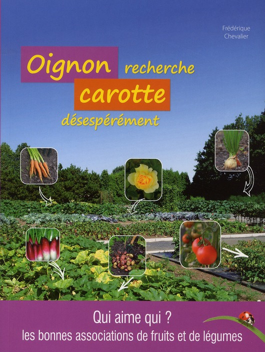 OIGNON RECHERCHE CAROTTE DESESPEREMENT