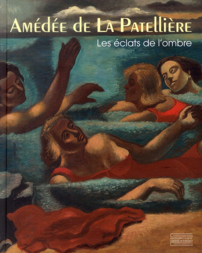 Amédée de la Patellière, les éclats de l'ombre