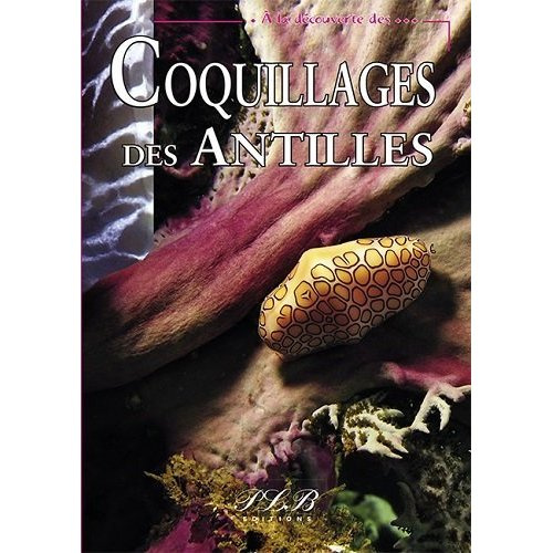 Coquillages des Antilles françaises