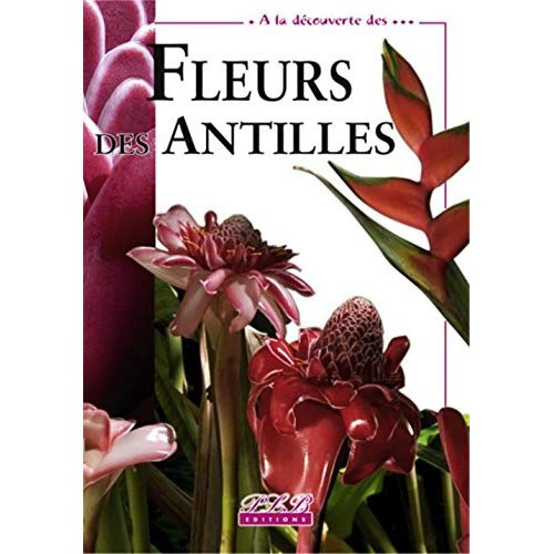 Fleur des antilles
