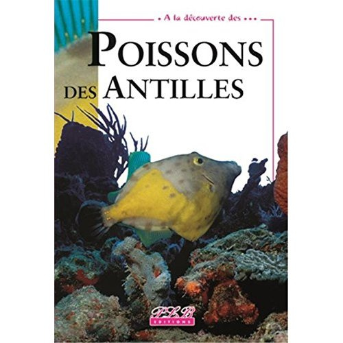 A la decouverte des... poissons des antilles