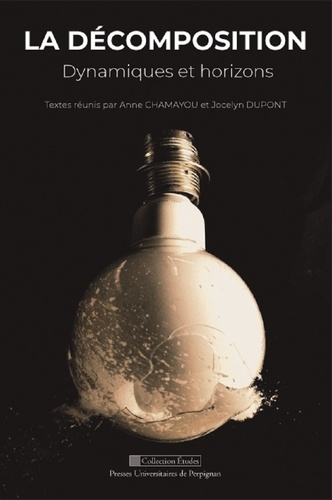 La décomposition. Dynamiques et horizons