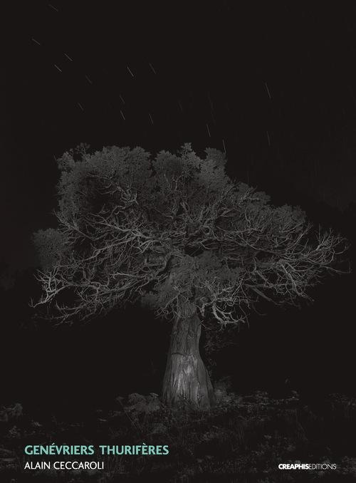 Genévriers thurifères (juniperus thurifera)