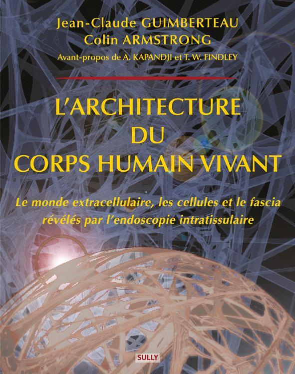 L'architecture du corps humain vivant. Le monde extracellulaire, les cellules et le fascia révélés p