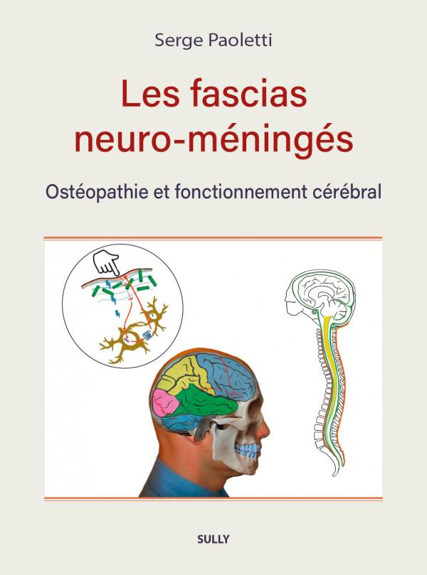 Les fascias neuro-méningés. Ostéopathie et fonctionnement cérébral