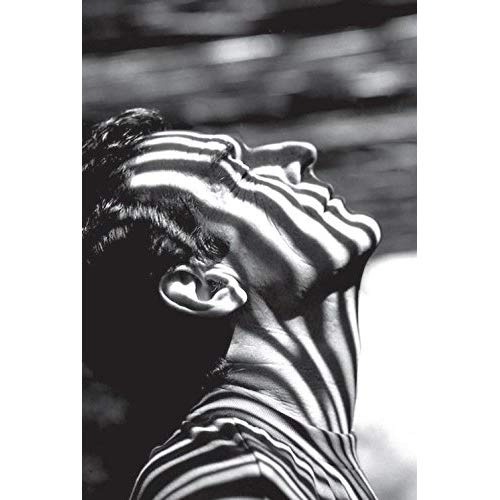 Rêves, révoltes et voluptés : Jean-Paul Curnier (1951-2017)