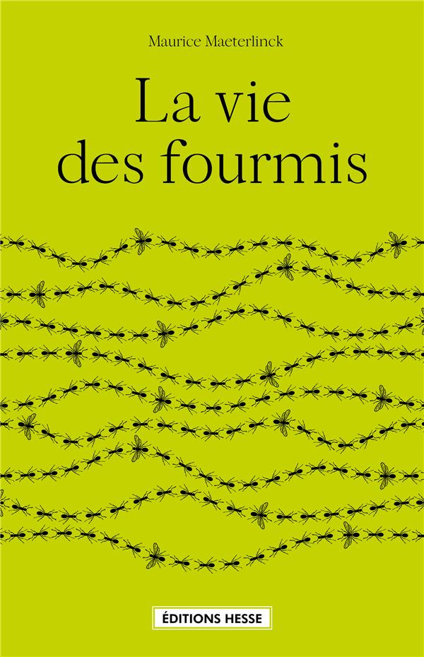 La vie des fourmis