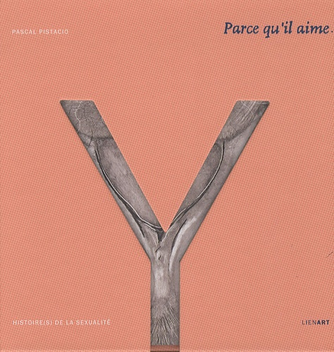 PARCE QU IL AIME CE QU IL N A PAS HISTOIRE(S) DE LA SEXUALITE