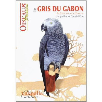 Le gris du Gabon