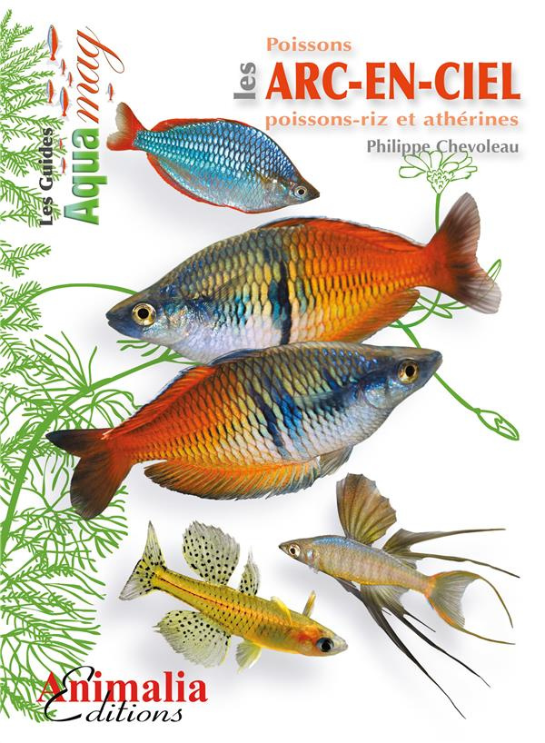 Les poissons arc-en-ciel