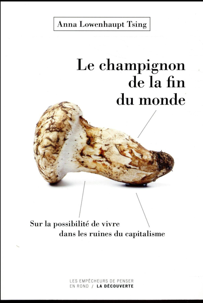 Le champignon de la fin du monde. Sur la possibilité de vivre dans les ruines du capitalisme