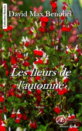 LES FLEURS DE L'AUTOMNE