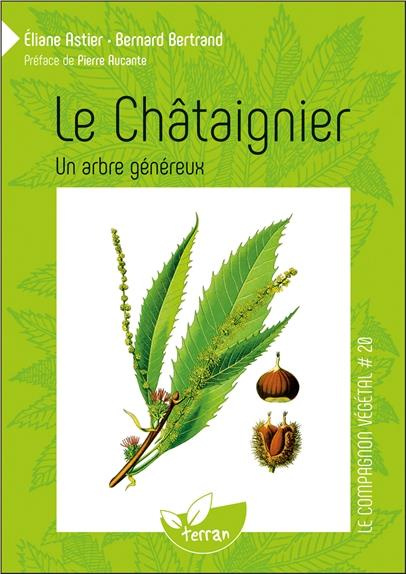 Le châtaignier. Un arbre généreux