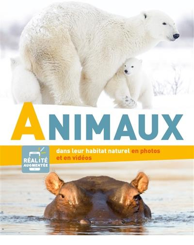 Animaux dans leur habitat naturel en photos et en vidéos