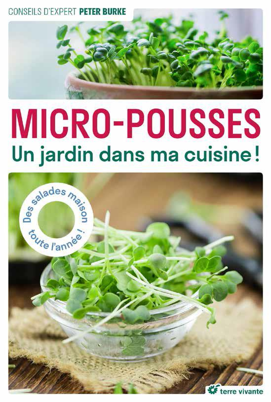 Micro-pousses. Un jardin dans ma cuisine !