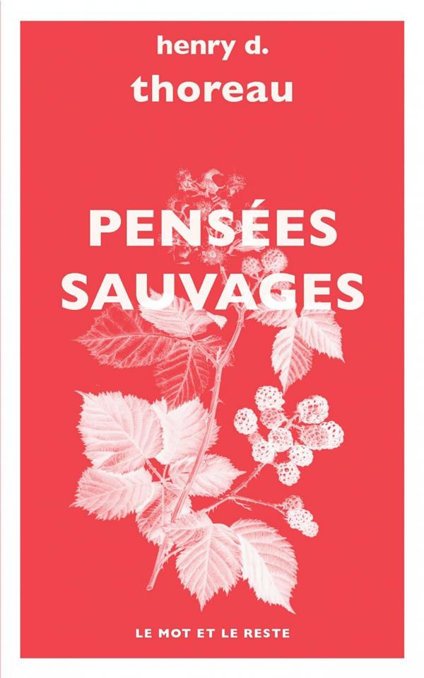 Pensées sauvages