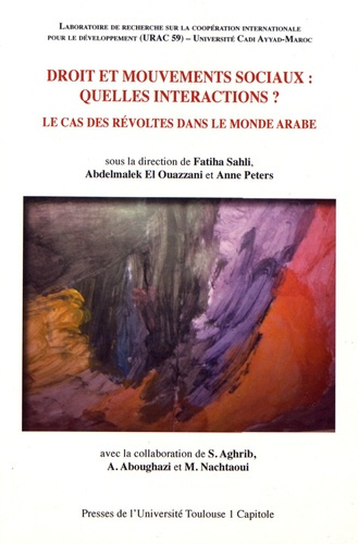 DROIT ET MOUVEMENTS SOCIAUX : QUELLES INTERACTIONS ? LE CAS DES REVOLTES DANS LE