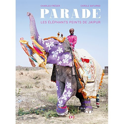 Parade. Les éléphants peints de Jaipur