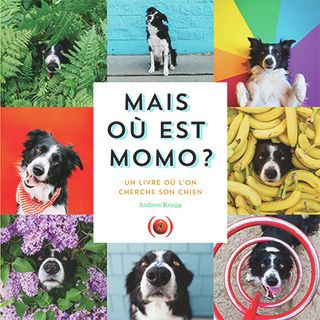 Mais où est Momo ? Un livre où l'on cherche son chien