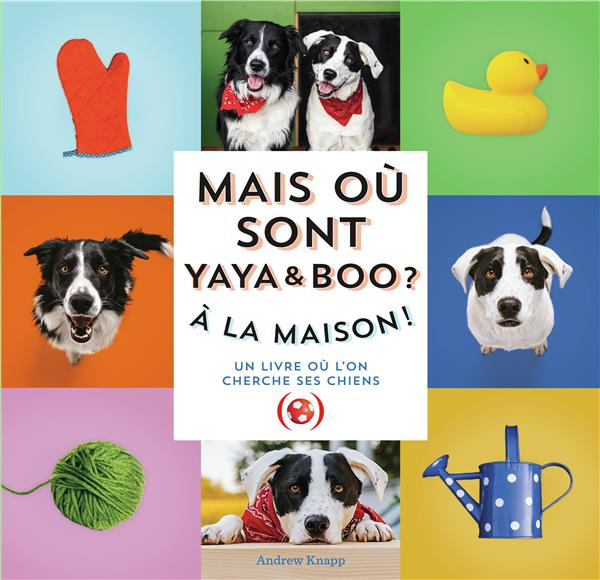 Mais où sont Yaya et Boo ? A la maison !