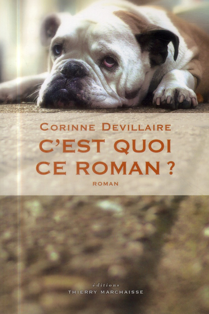 C'est quoi ce roman ?