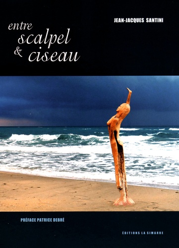 Entre scalpel & ciseau