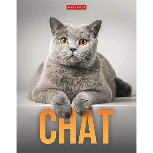 Chat