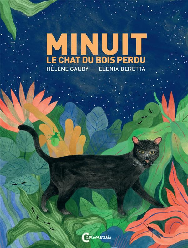 MINUIT LE CHAT DU BOIS PERDU