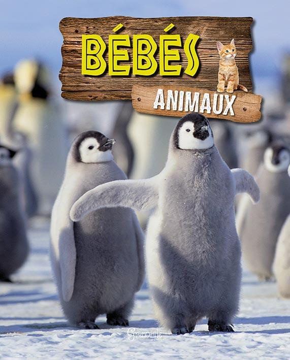 BEBES ANIMAUX