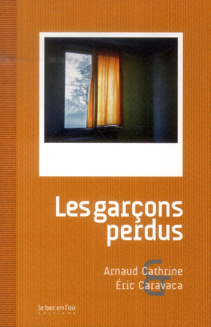 LES GARCONS PERDUS