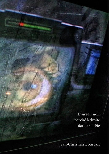 L OISEAU NOIR PERCHE A DROITE DANS MA TETE