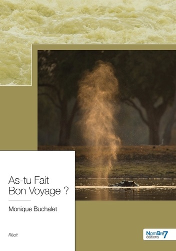 As-tu fait bon voyage ?