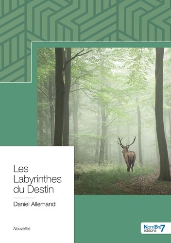 Les labyrinthes du destin