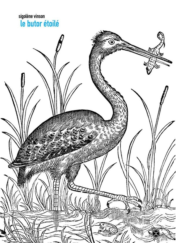 Le butor étoilé