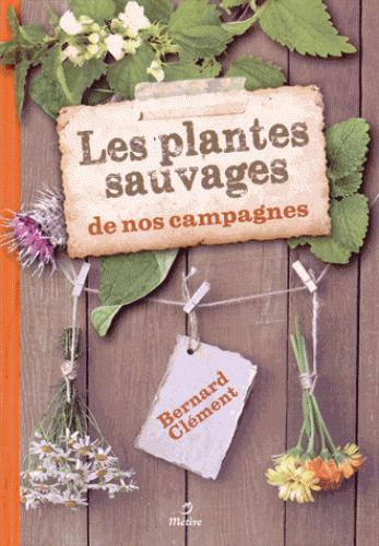 PLANTES SAUVAGES DE NOS CAMPAGNES (LES)