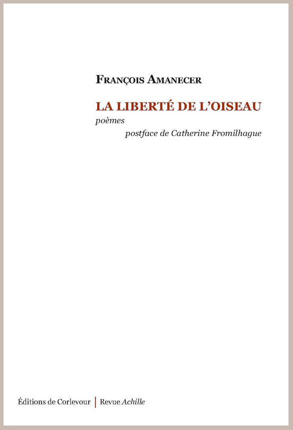 La liberté de l'oiseau