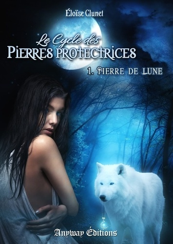 Le cycle des pierres protectrices. Tome 1