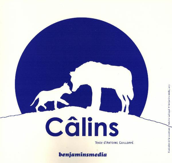 Câlins. 2 volumes, avec 1 CD audio MP3 [BRAILLE