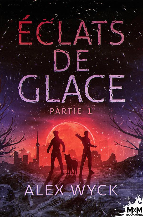 Eclats de glace