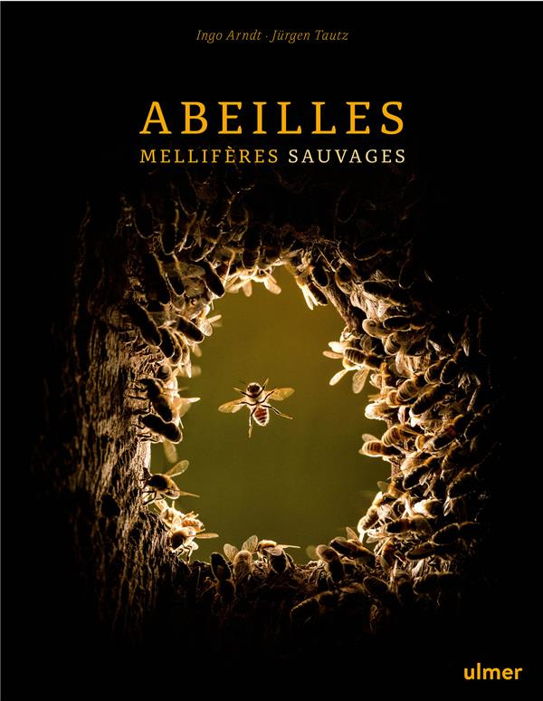 Abeilles mellifères sauvages