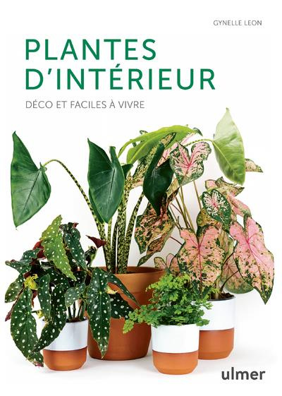 Plantes d'intérieur. Déco et faciles à vivre