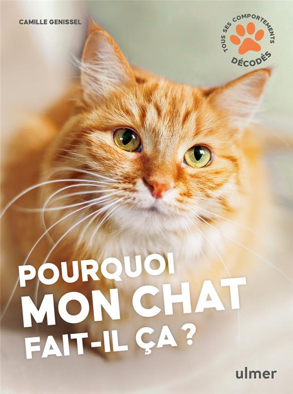 Pourquoi mon chat fait-il ça ?