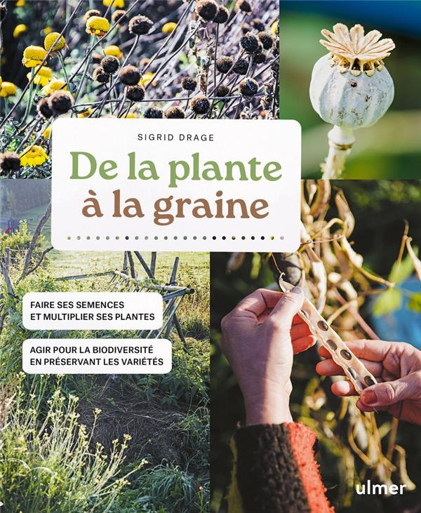 De la plante à la graine. Faire ses graines et multiplier ses plantes - Agir pour la biodiversité en