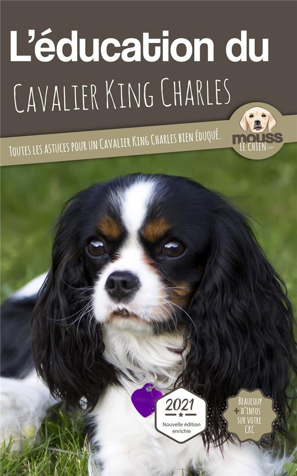L'éducation du Cavalier King Charles. Toutes les astuces pour un Cavalier King Charles bien éduqué