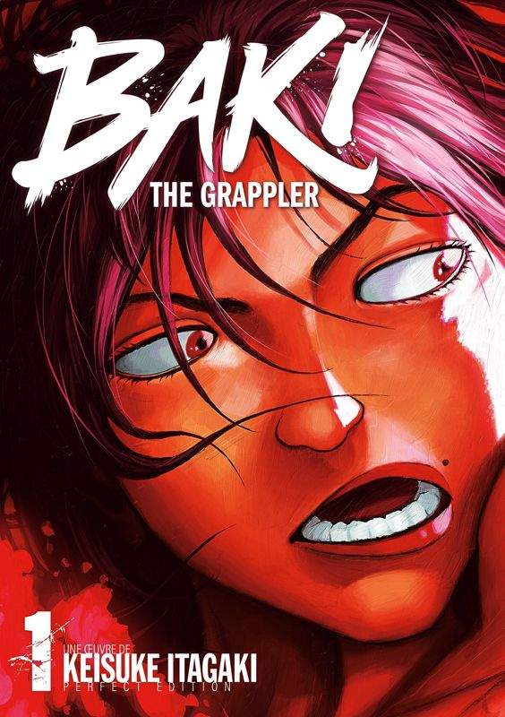 Baki the Grappler - Perfect Edition Tome 1