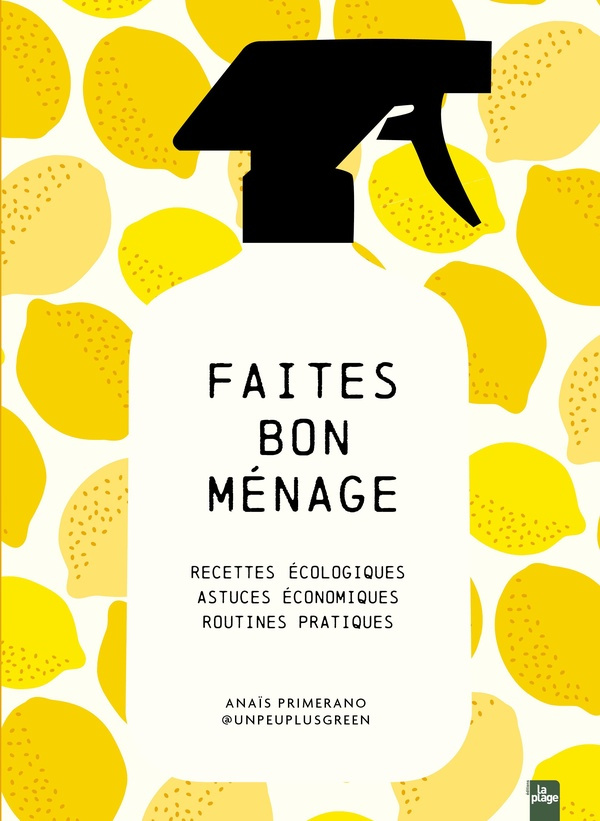Faites bon ménage. Recettes écologiques, astuces économiques, routines pratiques