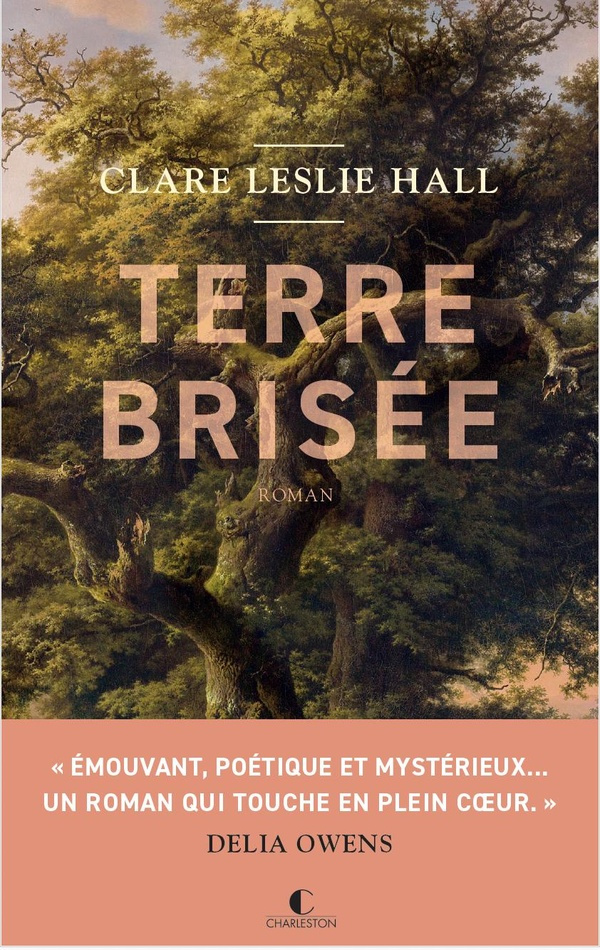 Terre brisée