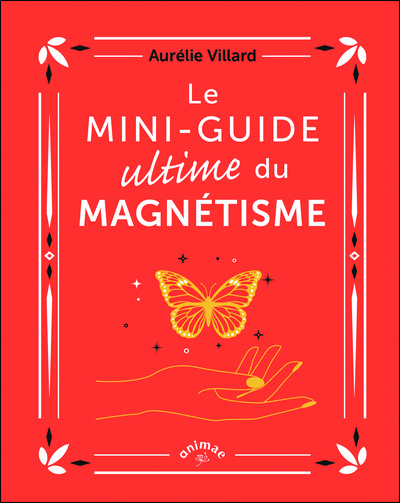 Le mini-guide ultime du magnétisme