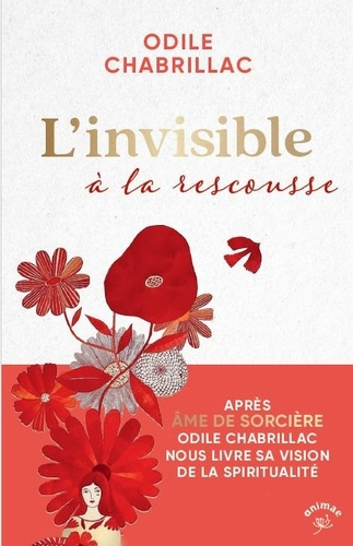 L'invisible à la rescousse